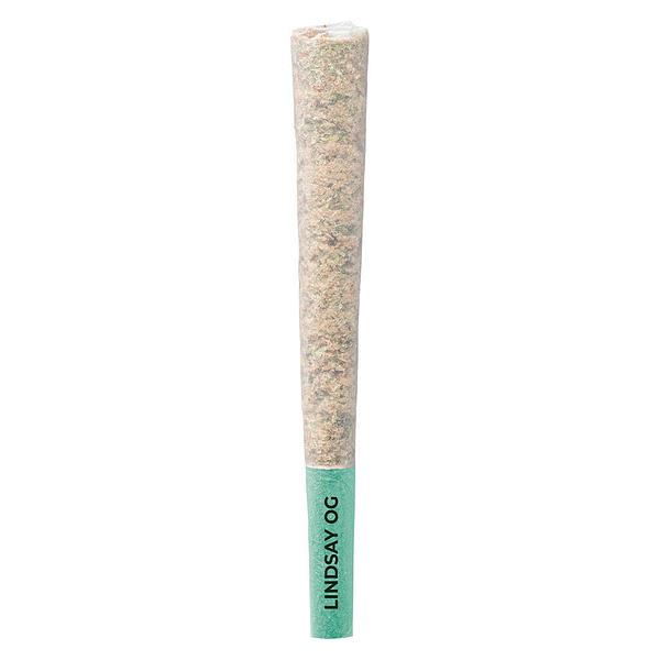 Pistol and Paris - Lindsay Og Pre Roll