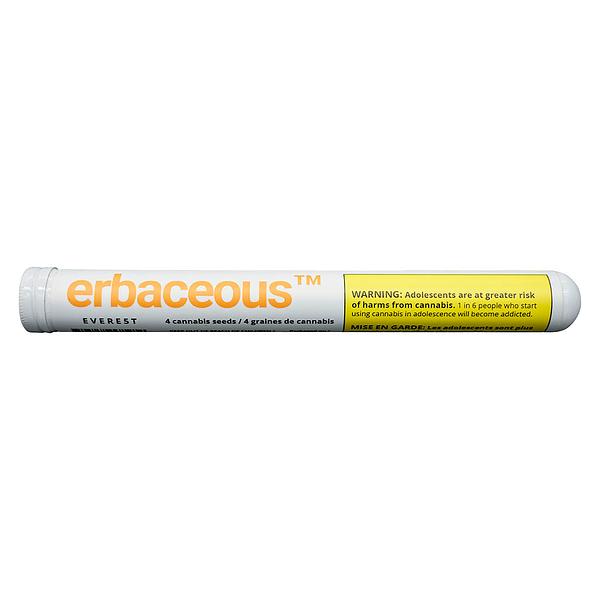 Erbaceous™ - E V E R E 5 T Seeds (Regular)