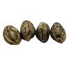 Erbaceous™ - E V E R E 5 T Seeds (Regular) thumbnail 2