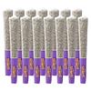 Bonkers - Dream Catcher Pre Roll thumbnail 1