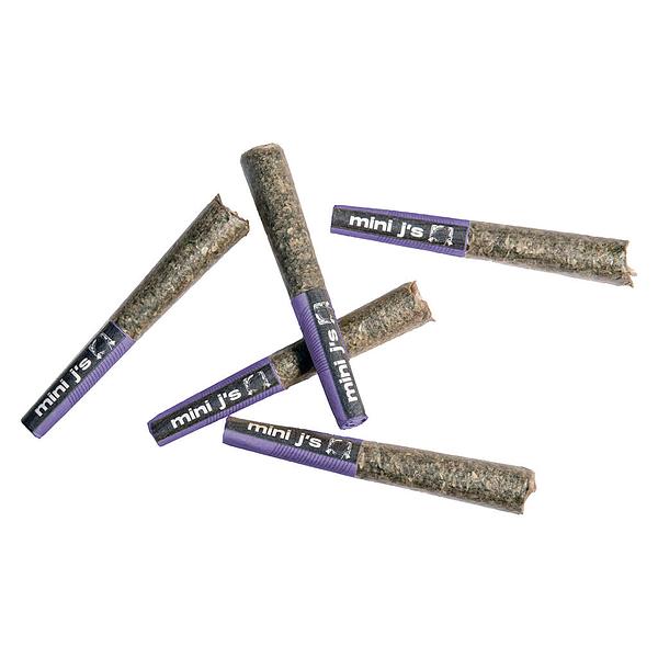 Violet Tourist - Day & Night Jumbo Pack Pre-Roll image 1