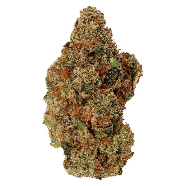 Carmel - Jelly Donut