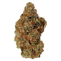 Carmel - Jelly Donut