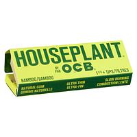 Houseplant by OCB - Bamboo 1 1/4 + Filters