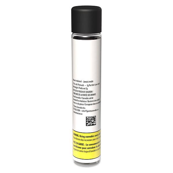 Fern - Mystery Gramr Sativa Pre-Roll