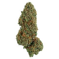 Faded - Diesel Cake