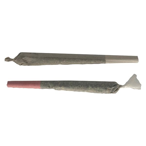The Oz Store - Naughty Or Nice Pre Roll