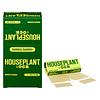 Houseplant by OCB - Bamboo 1 1/4 + Filters thumbnail 4