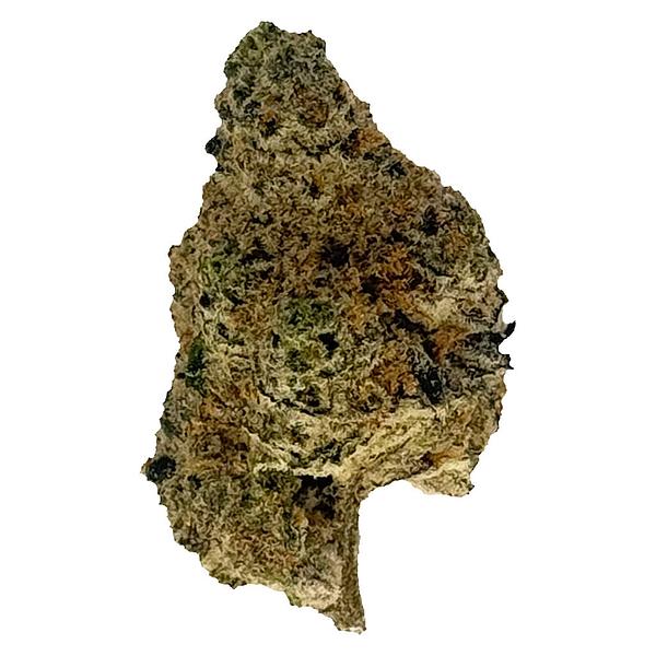 The Oz Store - Santa Clause Kush