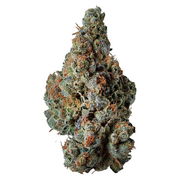 Supernova Farms - Award-Winning Craft Flower