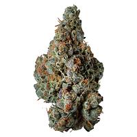 Supernova Farms - Award-Winning Craft Flower