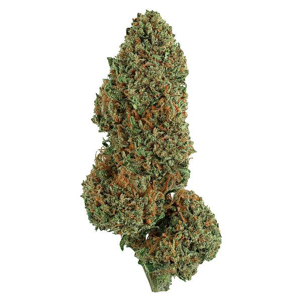 Faded - Diesel Cake