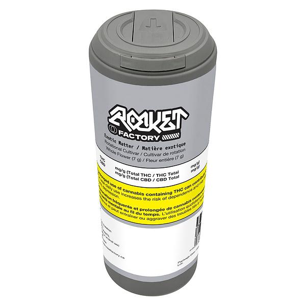 Rocket Factory - Exotic Matter image 2