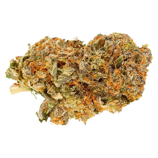 Qwest - P.O.P. Craft Whole Flower