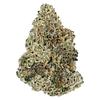 Woody Nelson - Premium Smalls [Rotating] thumbnail 1