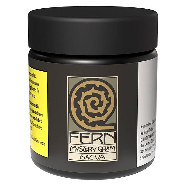 Fern - Mystery Gram Sativa