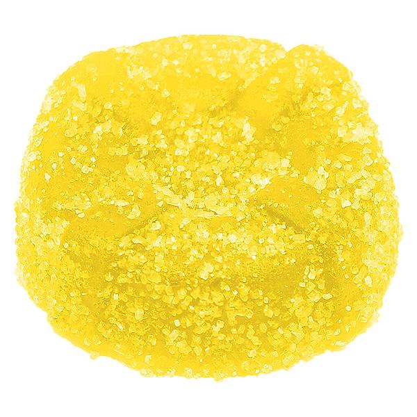 No Future - CBC Bomb - The CBC Yellow One