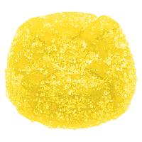 No Future - CBC Bomb - The CBC Yellow One