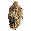 Florakraft - Heptane Dried Flower thumbnail 1