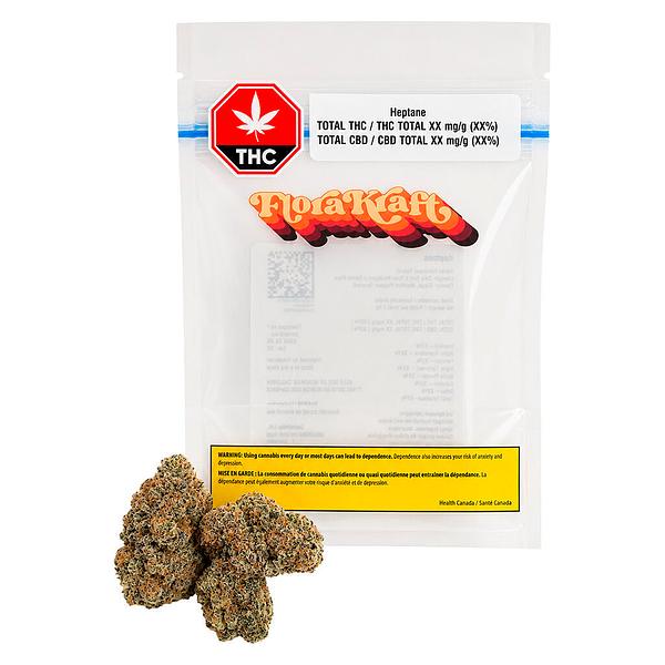 Florakraft - Heptane Dried Flower