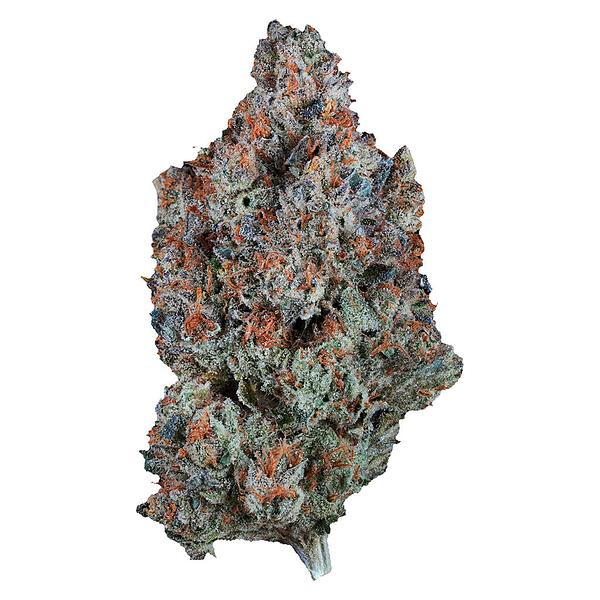 1964 - Sour Tangie image 1