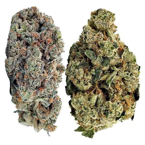 Jack Herer - Jack Pack
