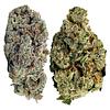 Jack Herer - Jack Pack thumbnail 1
