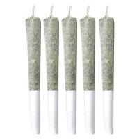 Sitka Legends - Cherry Chatter Pre Roll