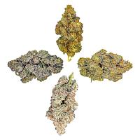 HighXotic - Royal Collection: The Quartet