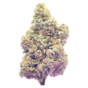 HighXotic - Royal Dive #7: Scarface Og