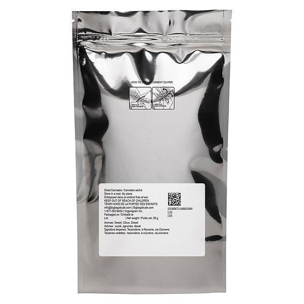 Big Bag O' Buds - East Coast Flamingo
