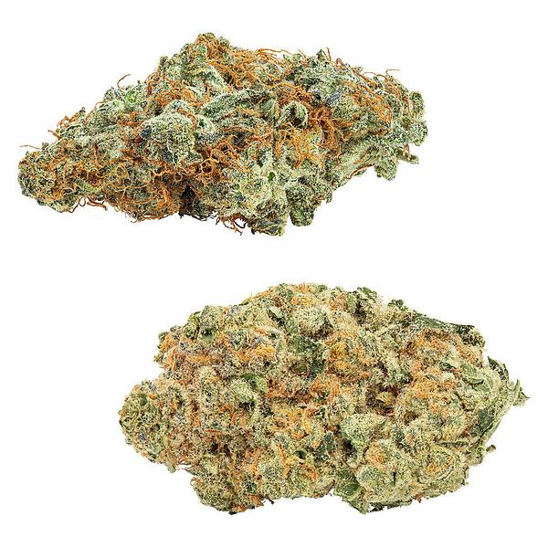 Big Bag O' Buds - CombOz: Amnesia OG & Tropicanna Tangie