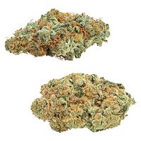 Big Bag O' Buds - CombOz: Amnesia OG & Tropicanna Tangie