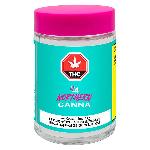 Northern Canna - East Coast Animal