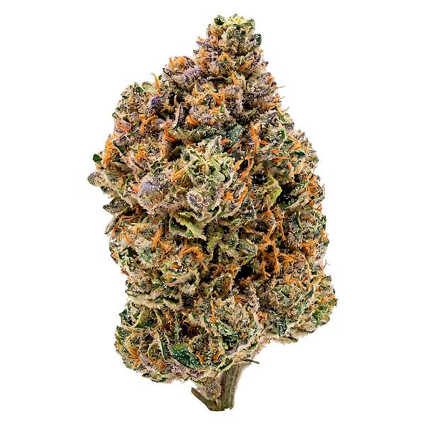 Payless - Sativa