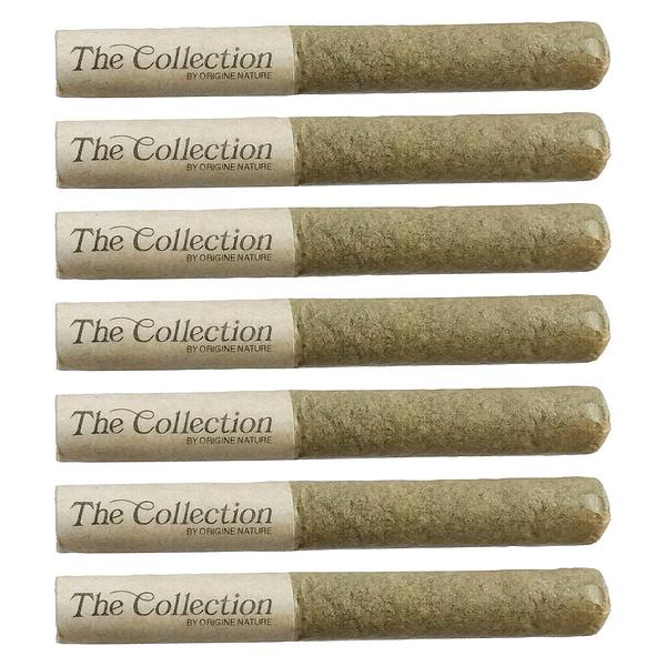The Collection by Origine Nature - Petroleum Pre-Roll