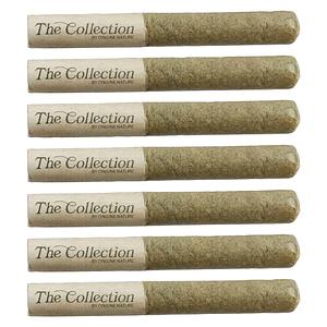 The Collection by Origine Nature - Clockwork Orange Pre-Roll