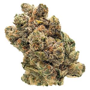 The Collection by Origine Nature - Clockwork Orange