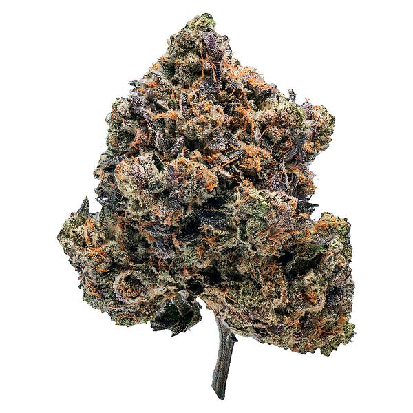 Quad Farmers - Rare Genetics