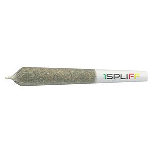 1Spliff Infused - Bubba G Diamond Infused Pre-Roll