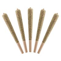 Standard Issue - Wild Berry Infused Pre-Roll