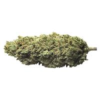 Pure Sunfarms - Skywalker Haze