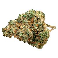 Pure Sunfarms - Day Tripper
