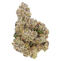 Buzz'd - Honeycomb Haze