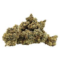 BC 1/2 OZ - French Toast