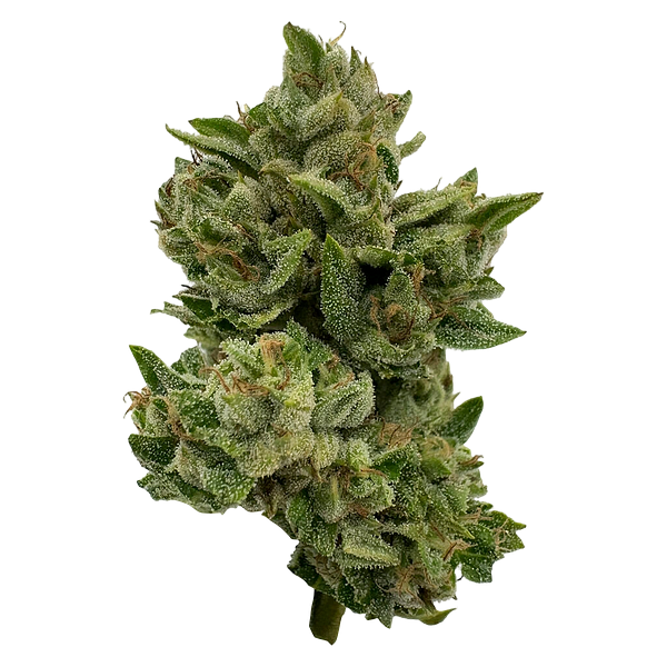 Deelish - Pretty Sweet Sativa