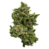 Deelish - Pretty Sweet Sativa thumbnail 1