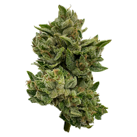 Deelish - Pretty Sweet Sativa