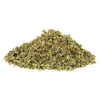 SHRED - OG Rootbeer