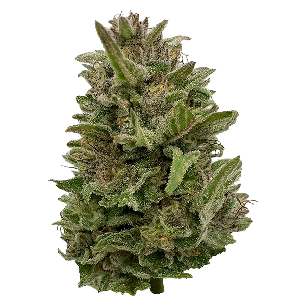 Deelish - Pretty Chill Indica